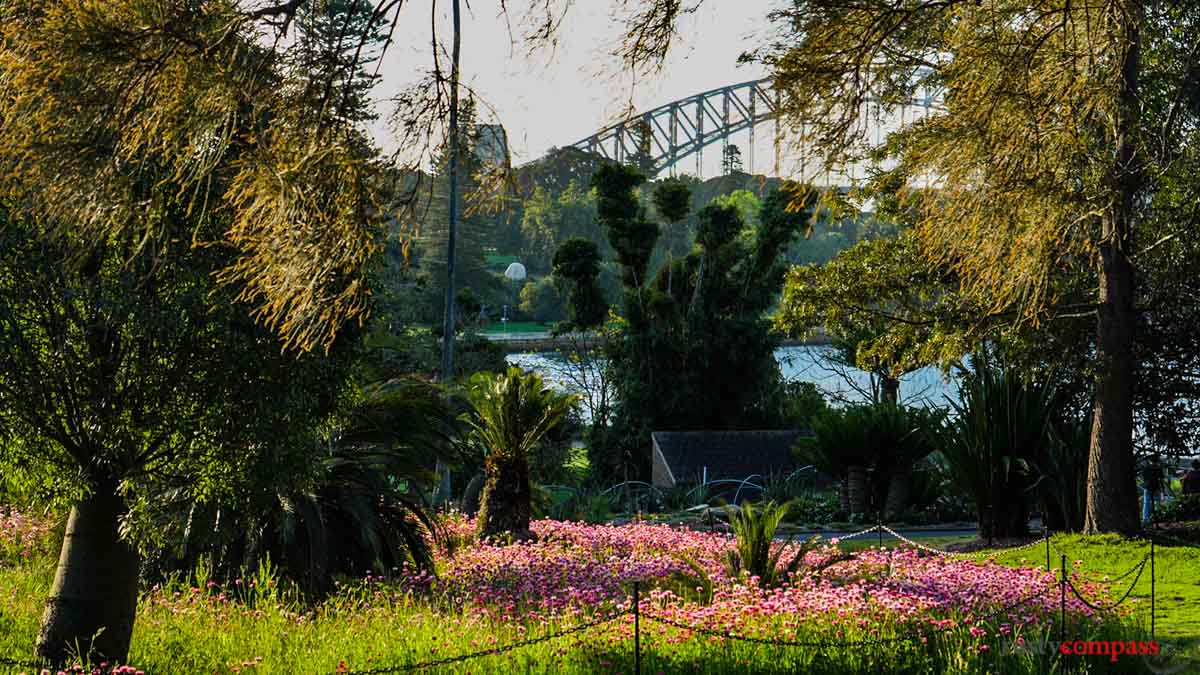 Royal Botanical Gardens, Sydney